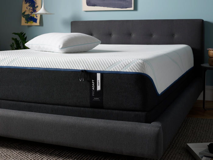 TEMPUR-PRO ADAPT (SOFT)