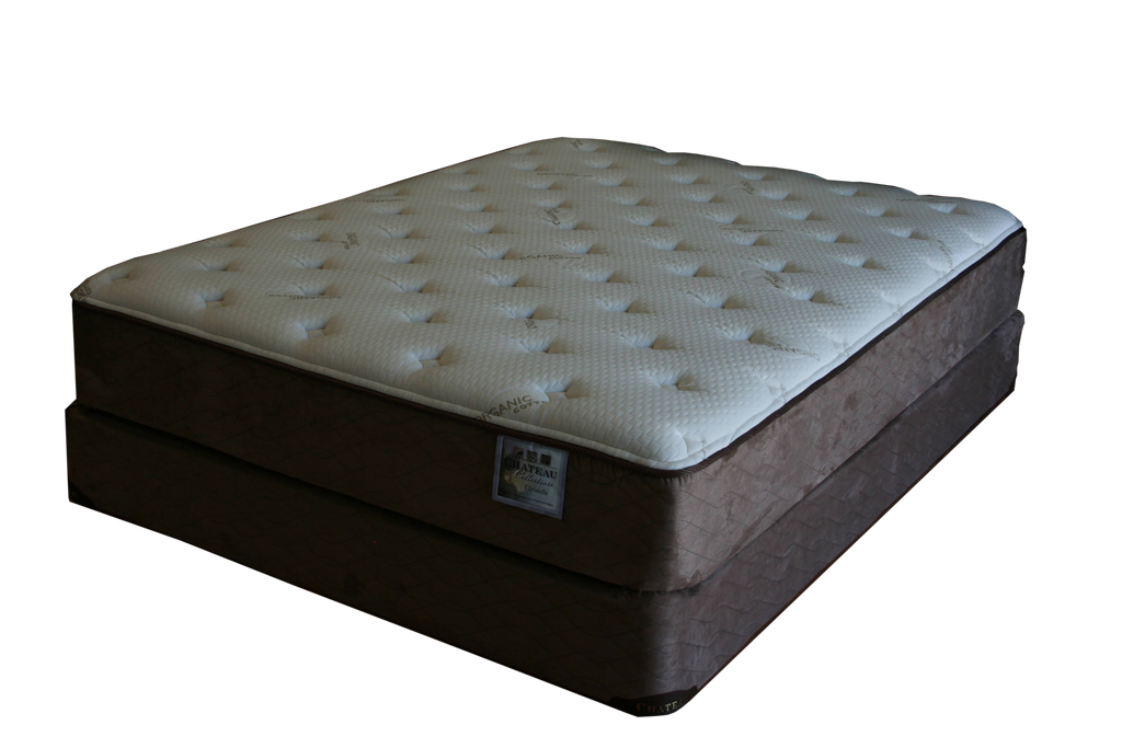 christelle latex plush mattress