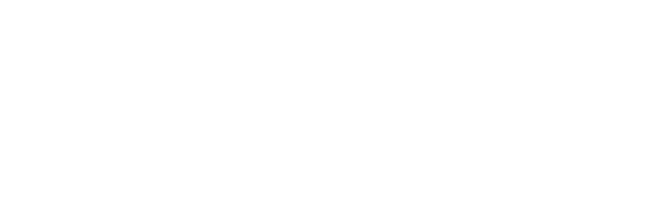 Tempur-Pedic